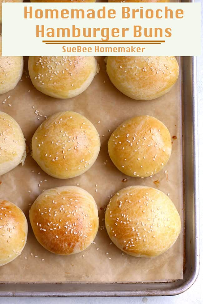 Homemade Brioche Hamburger Buns Suebee Homemaker