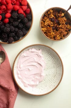 Yogurt With Granola Two Ways Suebee Homemaker