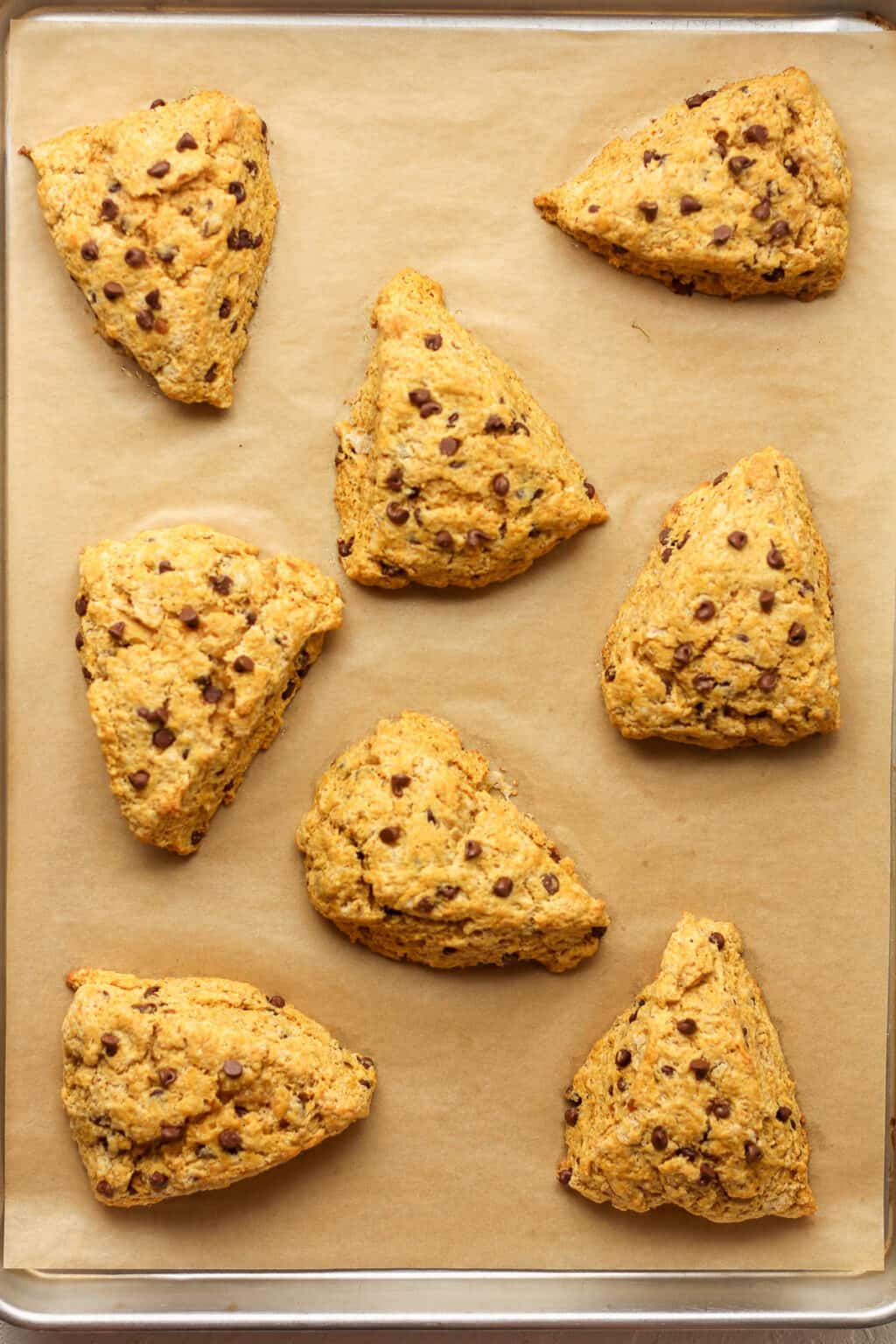 Iced Pumpkin Chocolate Chip Scones Suebee Homemaker