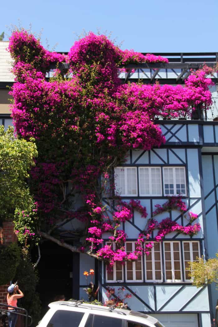 Lombard Street