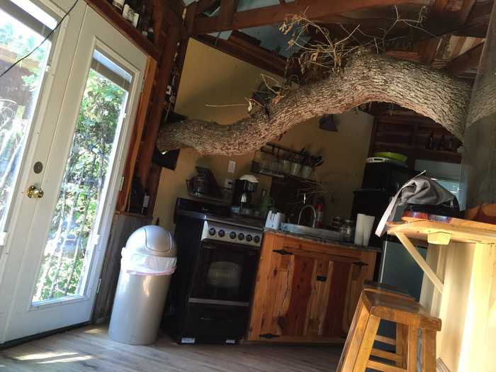 Majestic Oak Treehouse in Savannah's Meadow