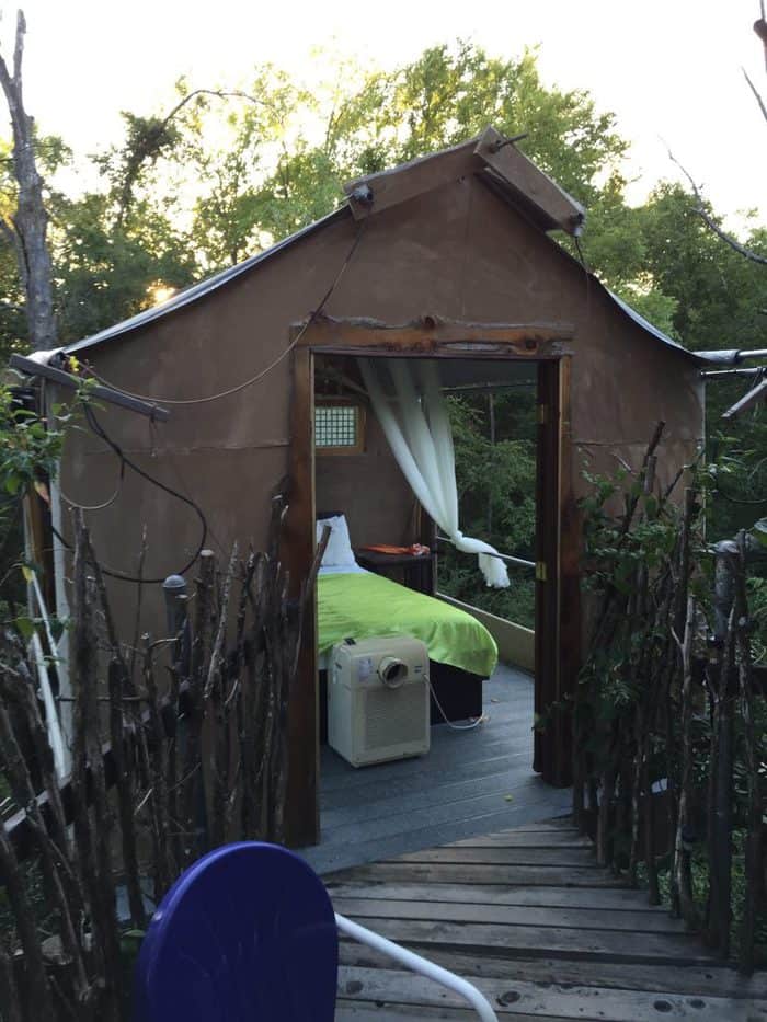 Majest Oak Treehouse in Savannah's Meadow