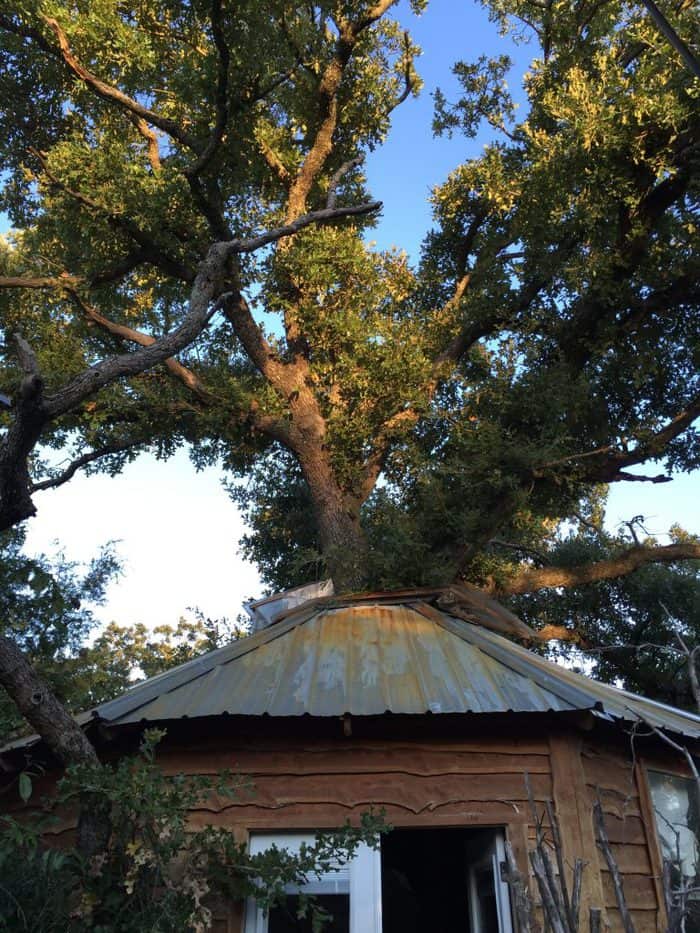 Majestic Oak Treehouse in Savannah's Meadow