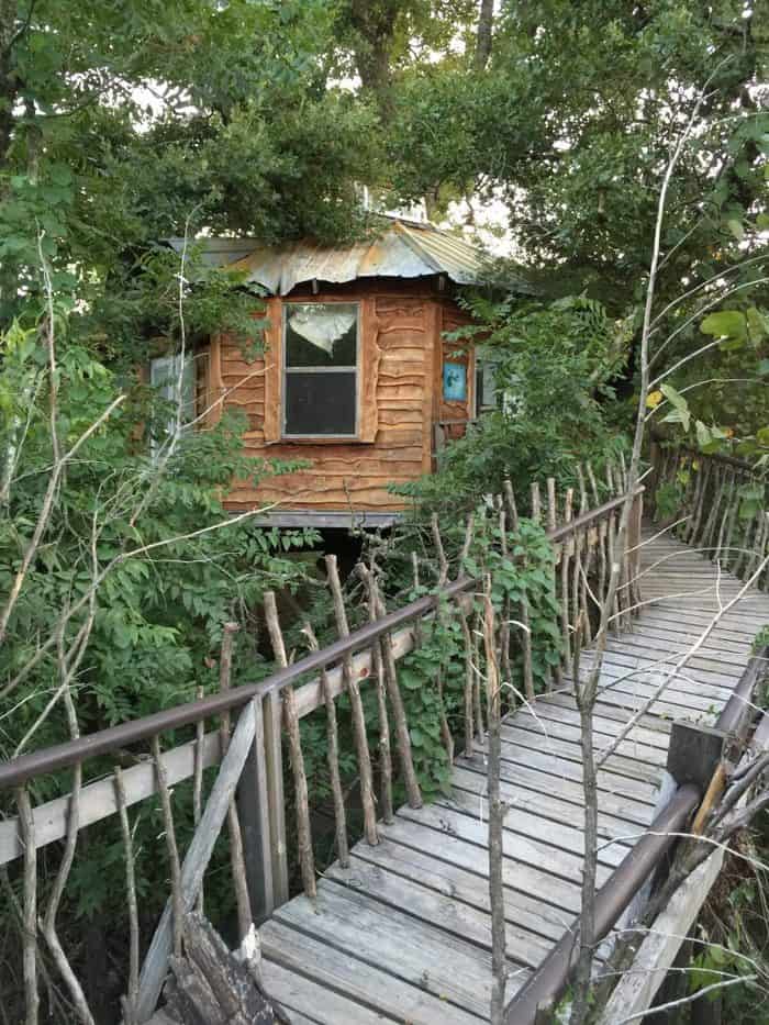 Majestic Treehouse in Savannah's Meadow