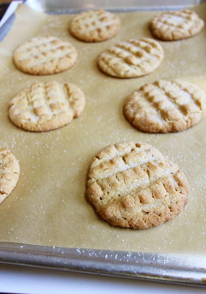 Best Ever Peanut Butter Cookies - SueBee Homemaker