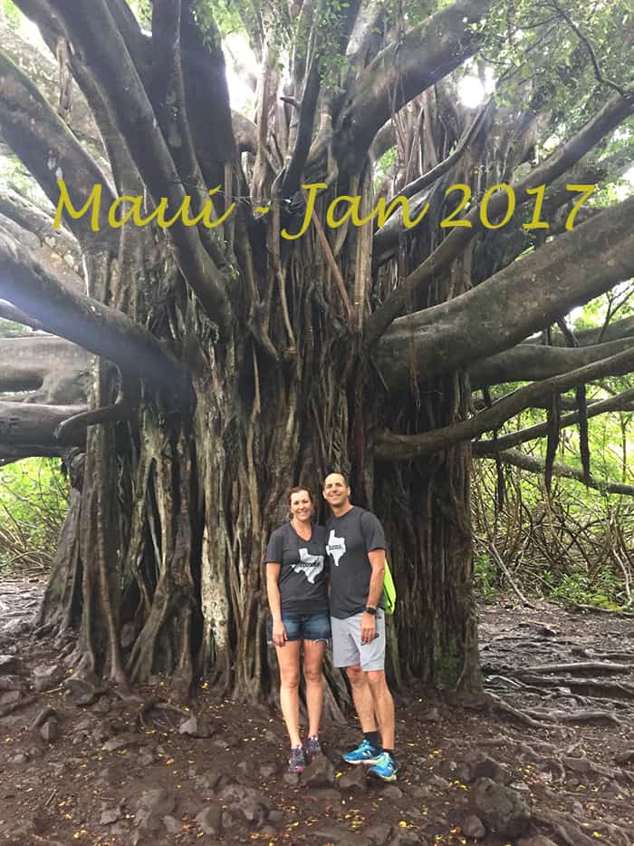 Maui – Our Hawaiian Vacation, Part Two