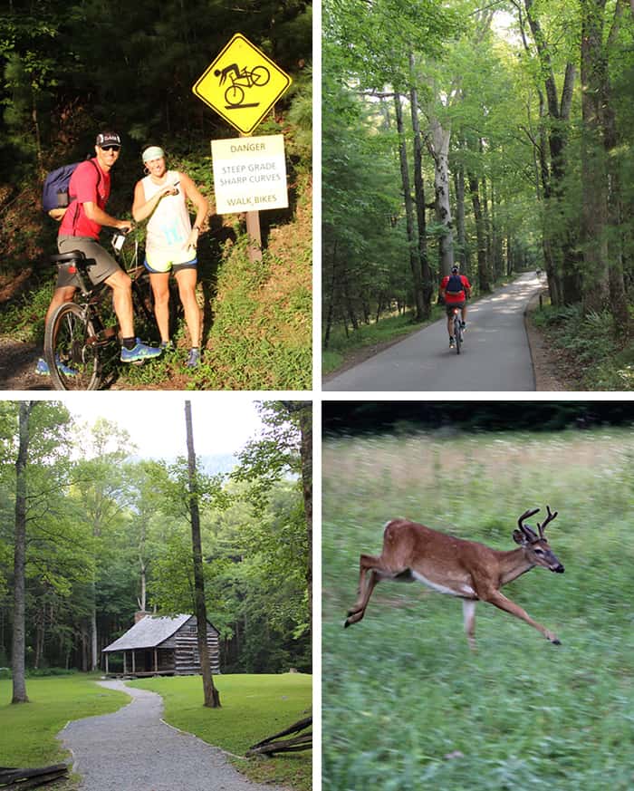 Come along with us on our biking adventures as we explore our neighborhood and different parts of the world. Life is a beautiful ride! | suebeehomemaker.com