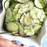 My Fresh Cucumber Salad recipe uses plain greek yogurt, honey, and apple cider vinegar in the dressing, along with fresh cucumbers and red onions! | suebeehomemaker.com