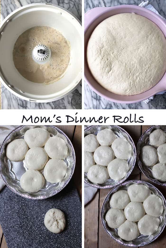 Overhead process shots of 1) the yeast mixture, 2) the dough after rising, 3) the dinner rolls being formed, and 4) the dinner rolls in round tins.