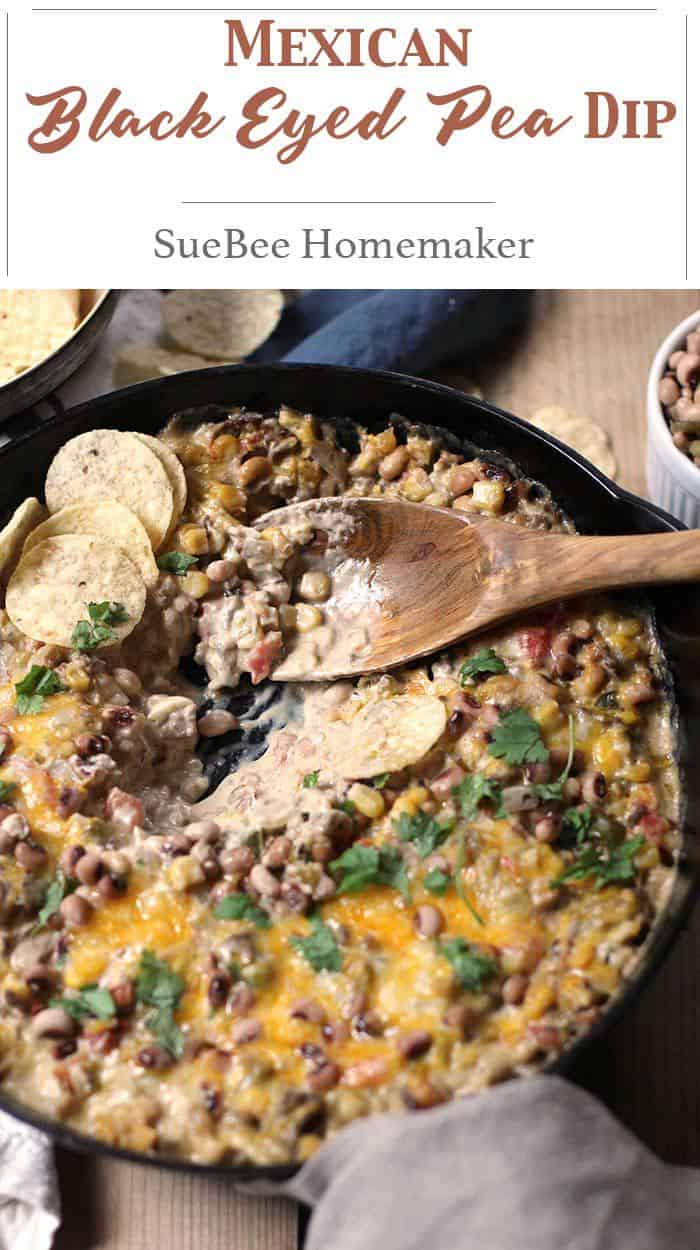 Mexican BlackEyed Pea Dip SueBee Homemaker