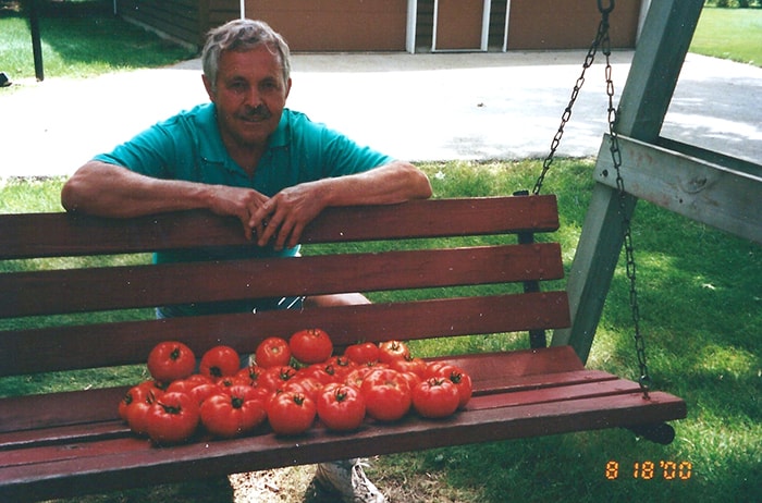 A picture of my Dad kneeling next to a porch swing that is loaded with garden tomatoes.