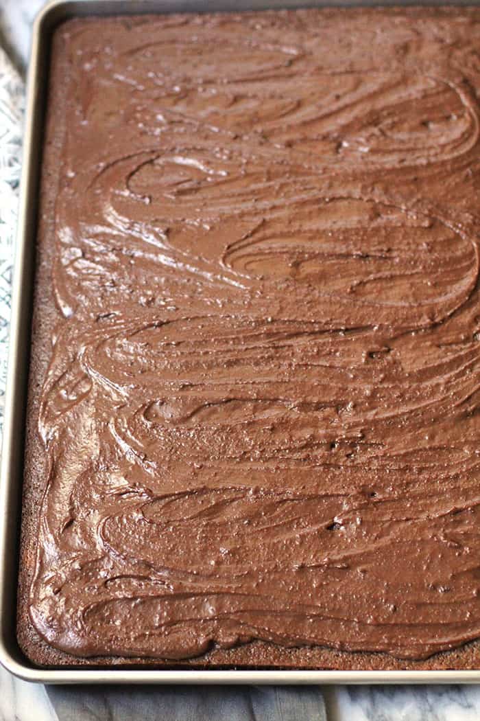 Overhead shot of a large jelly roll pan of Texas Sheet Cake Brownies, with frosting.