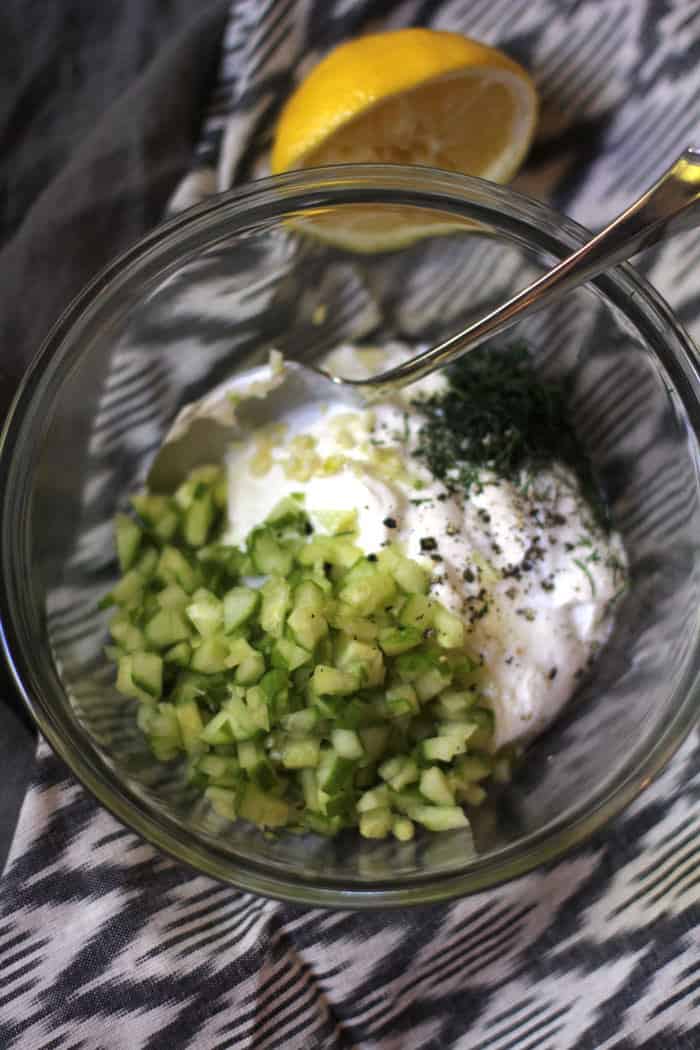 Homemade Tzatziki Sauce - SueBee Homemaker