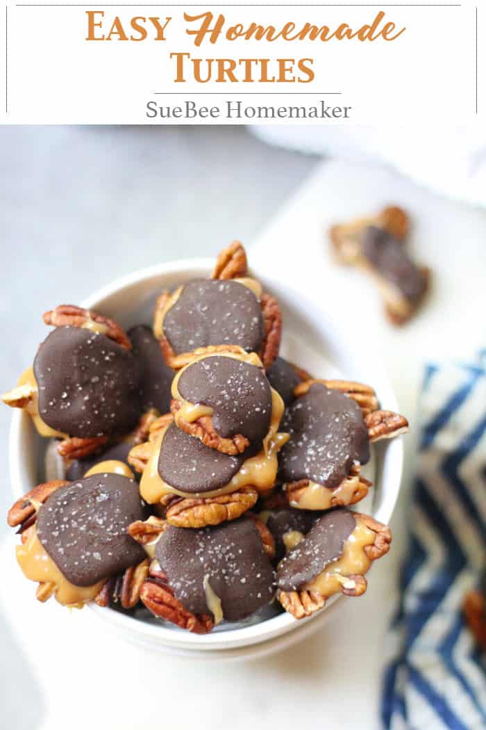 Easy Homemade Turtles SueBee Homemaker