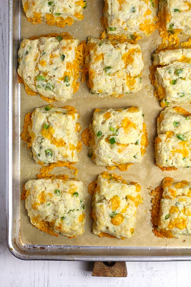 Overhead view of a sheet pan of 12 jalapeño cheddar biscuits.