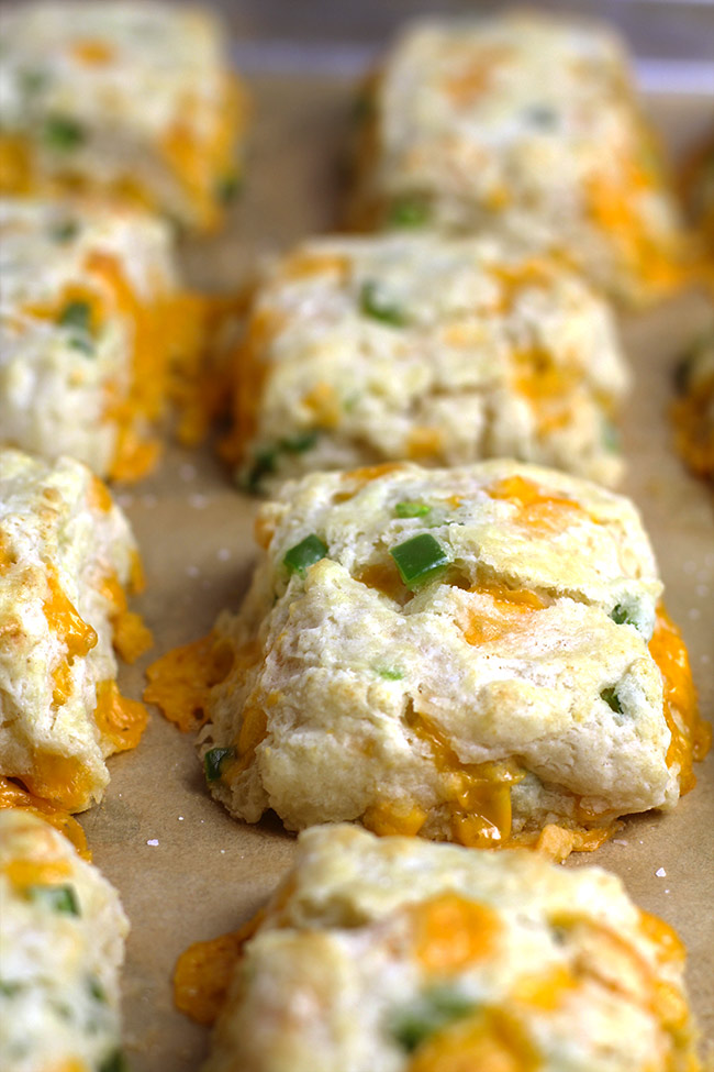 Side view of a sheet pan of jalapeño cheddar biscuits.
