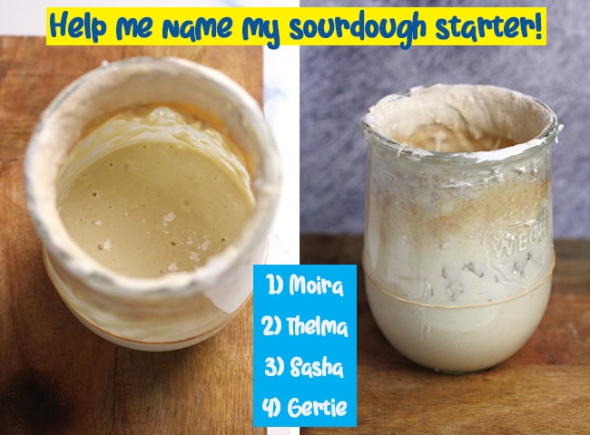 A collage of my sourdough starter with name choices.
