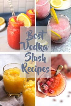 Best Vodka Slush Recipes - SueBee Homemaker