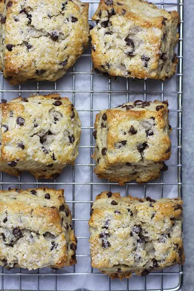 Overhead shot of mini chocolate chip scones.