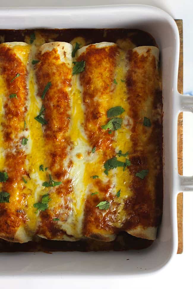 Shredded Beef Enchiladas - SueBee Homemaker