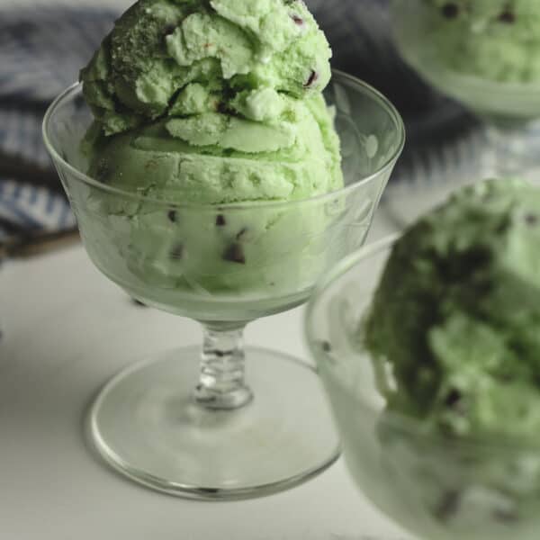 Mint Chip Ice Cream - SueBee Homemaker