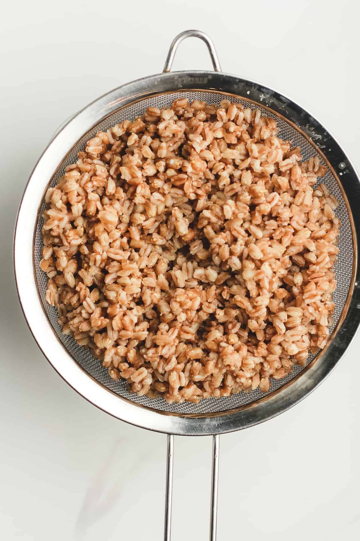 A colander of the cooked farro.