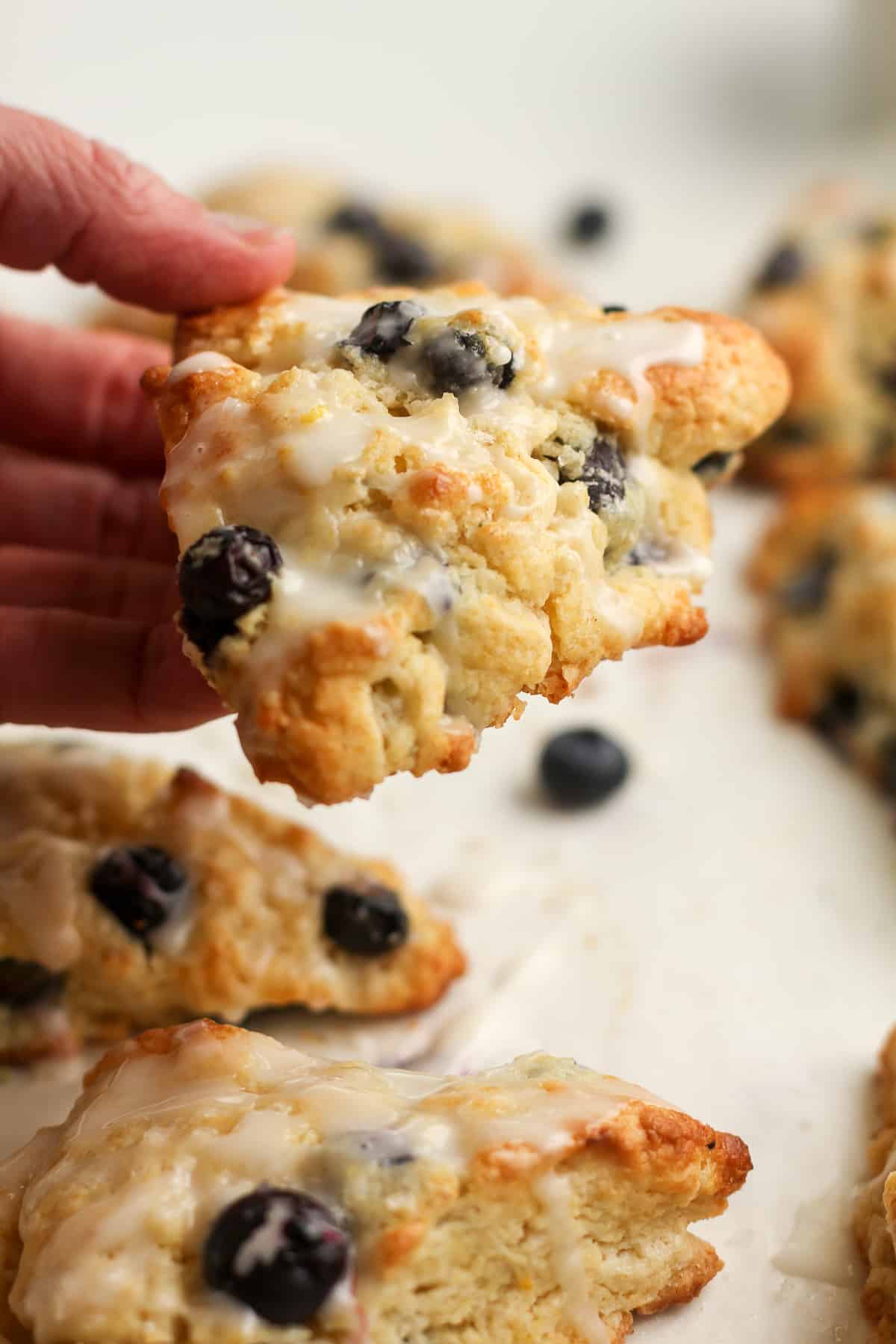 A hand holding a blueberry scone.
