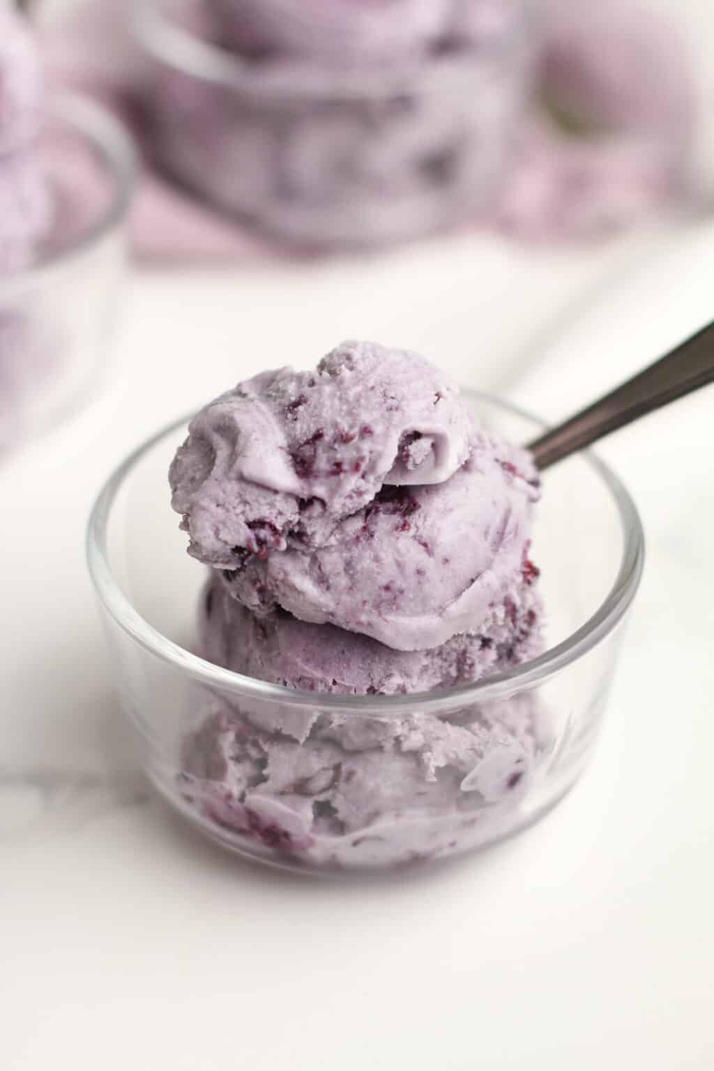 Blueberry Ice Cream Recipe - SueBee Homemaker