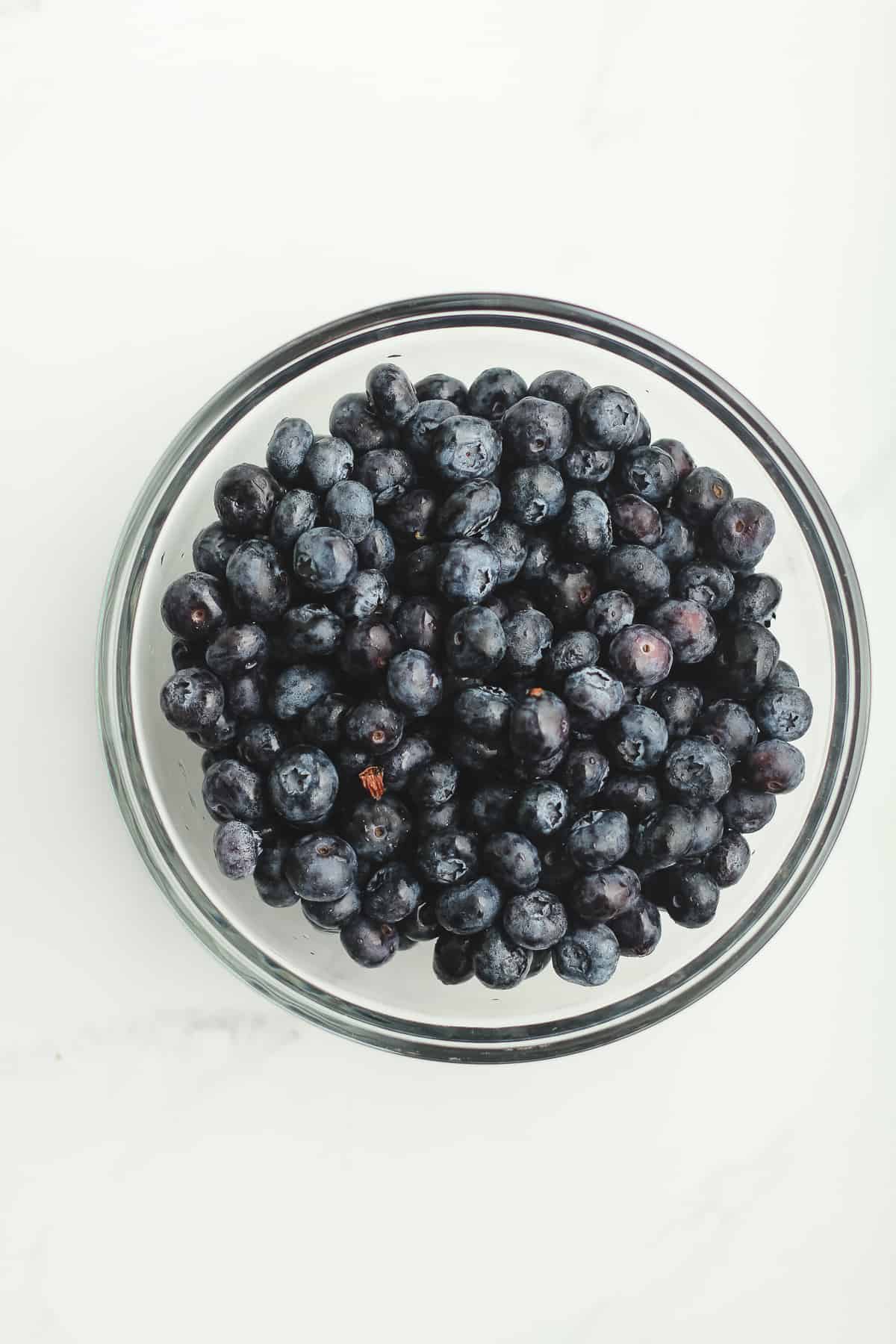 A bowl of blueberries.