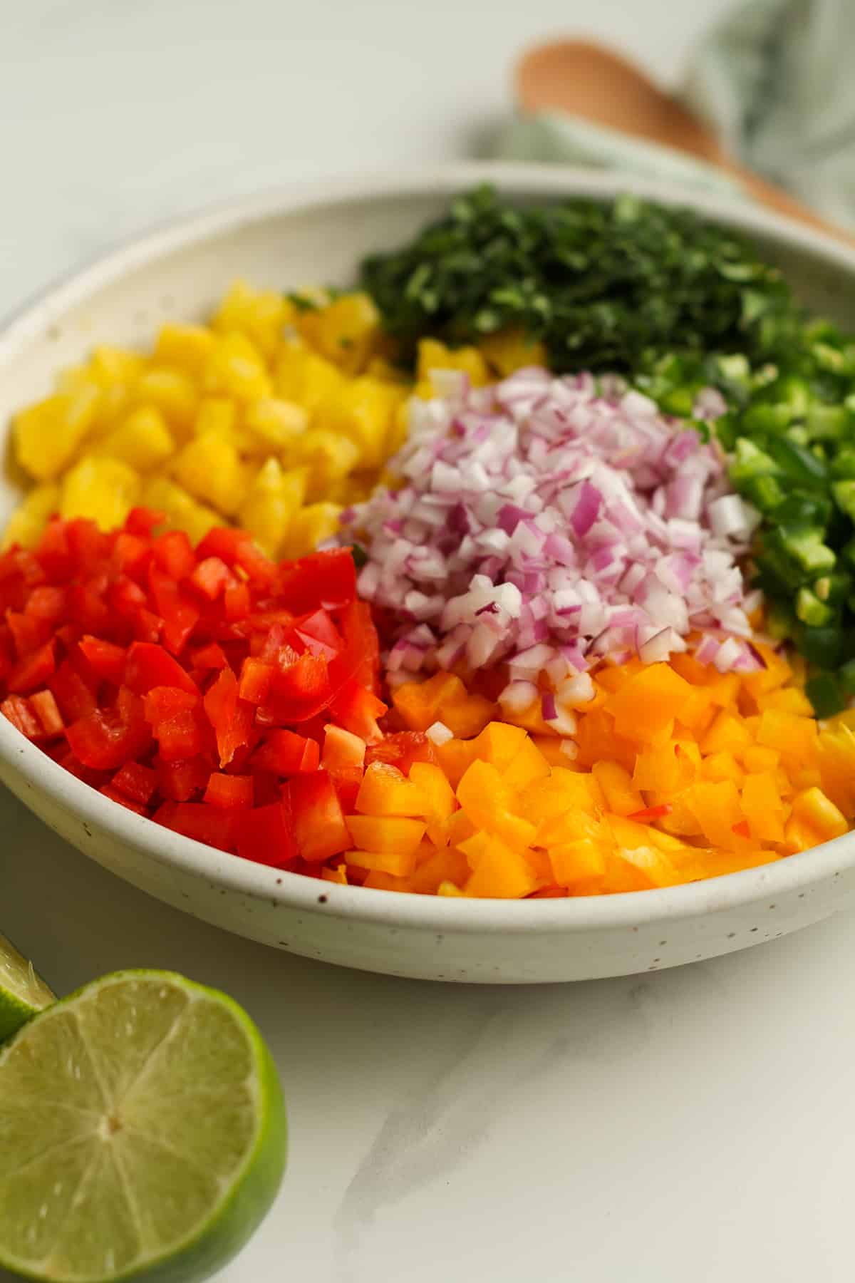 Side shot of a bowl of the chopped ingredients, by ingredient.