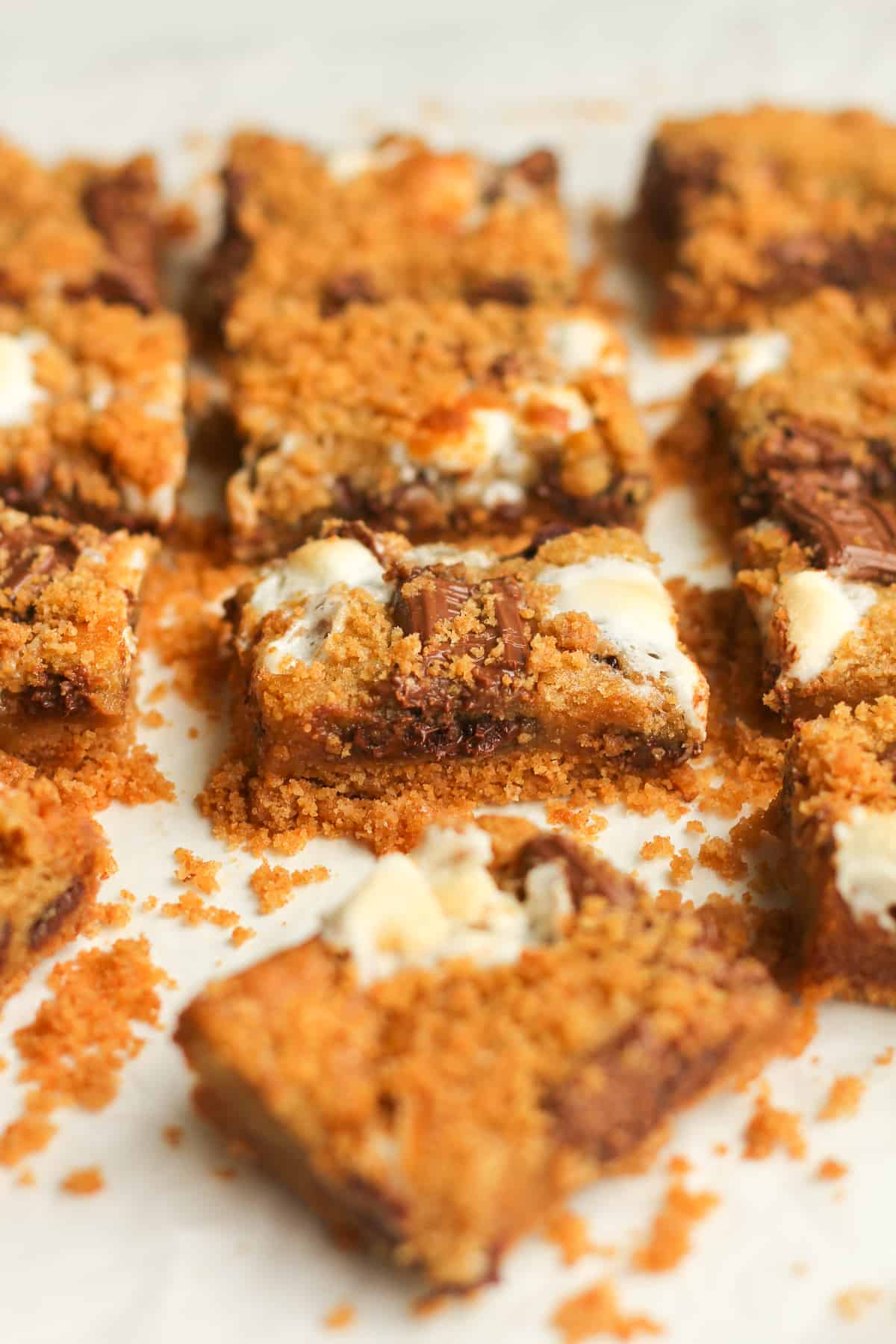 Side shot of some s'mores bars.