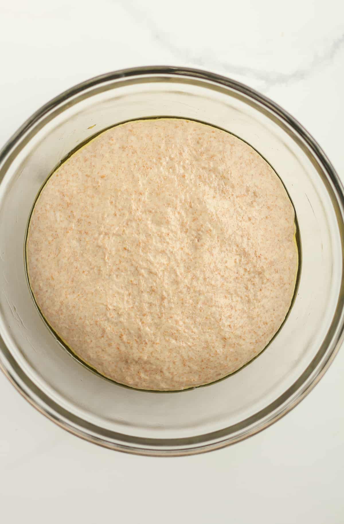 Whole wheat pizza dough before rising.