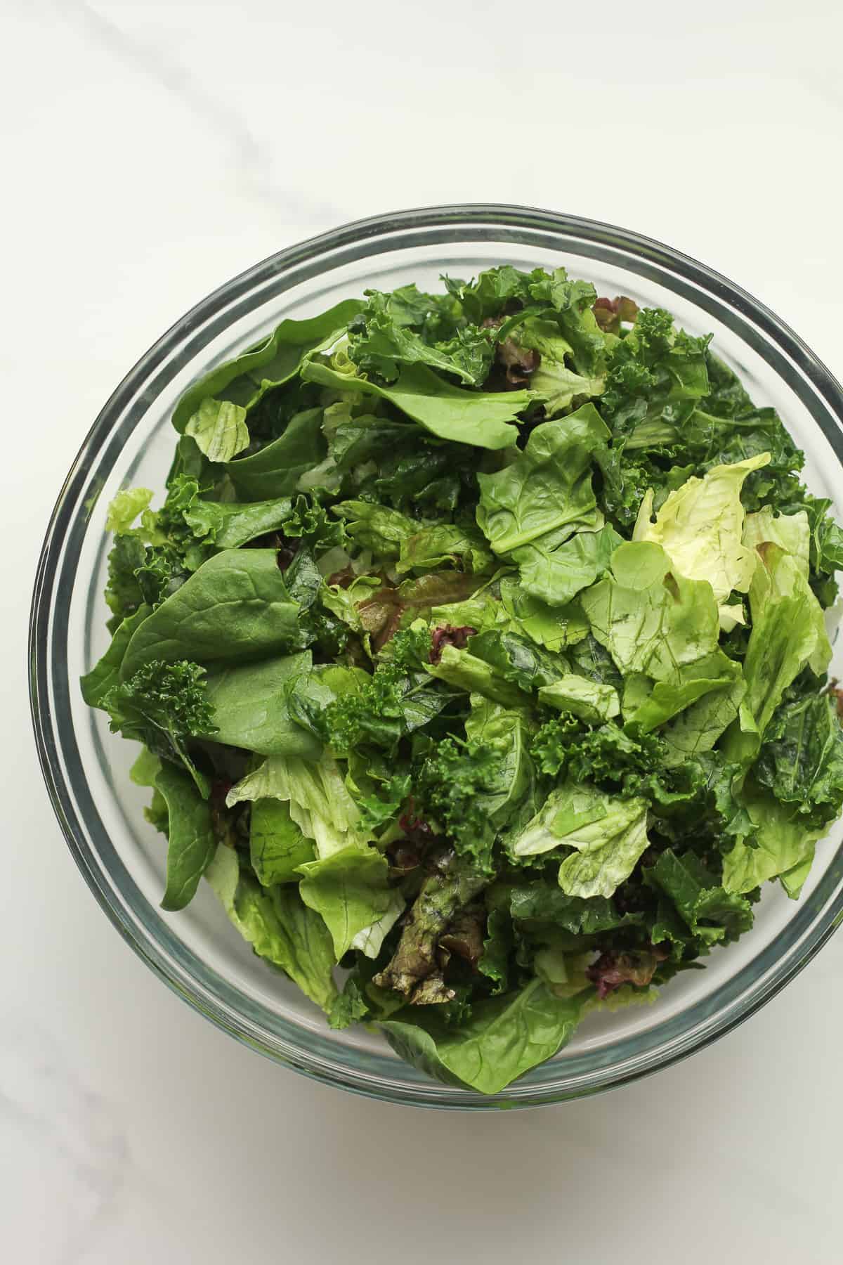 A bowl of a variety of salad greens.