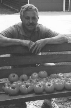 Dad with his tomatoes.