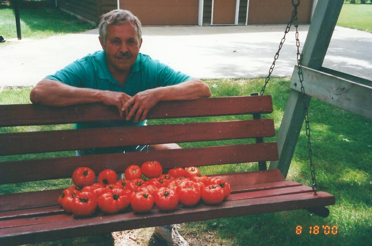 Dad by the swing full of fresh tomatoes.
