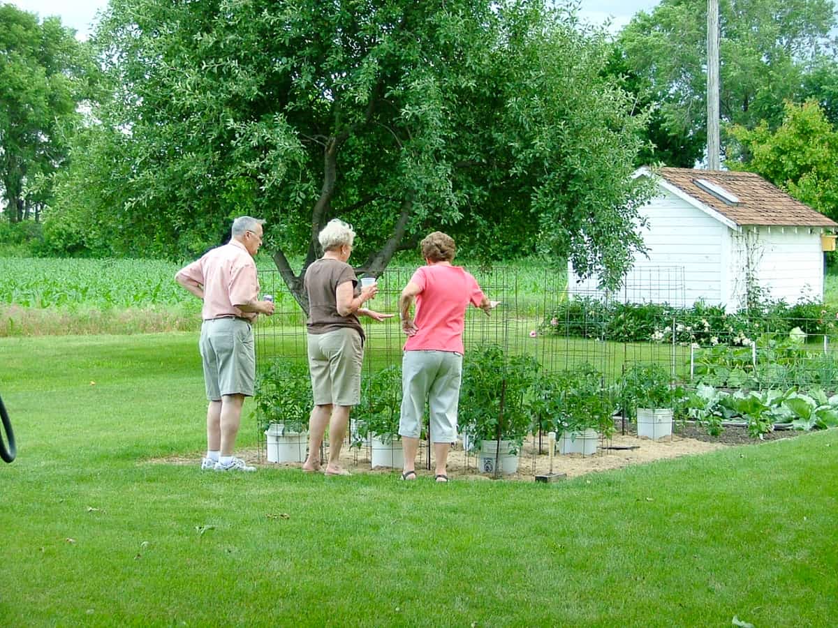 Mom and the Illgs looking at the garden.