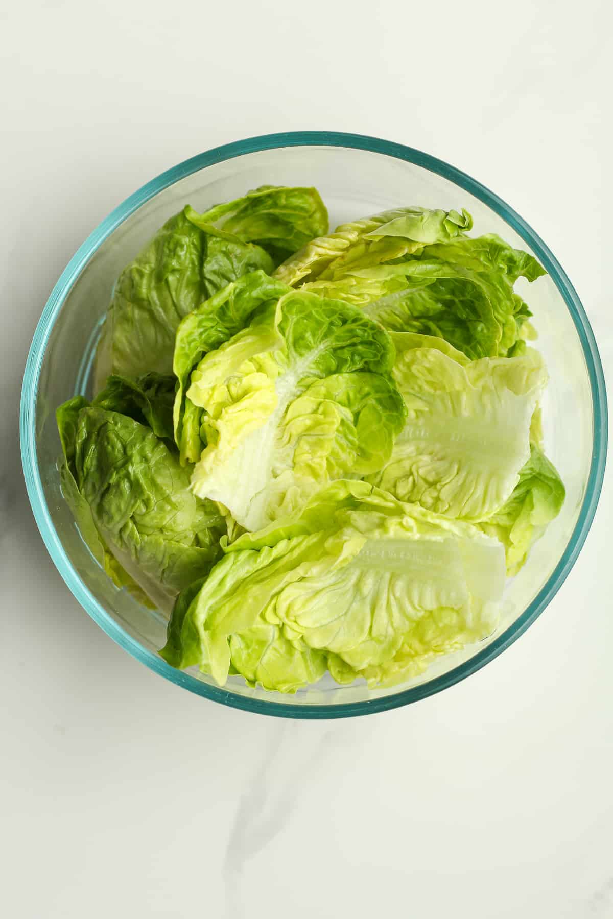 A bowl of bib lettuce.