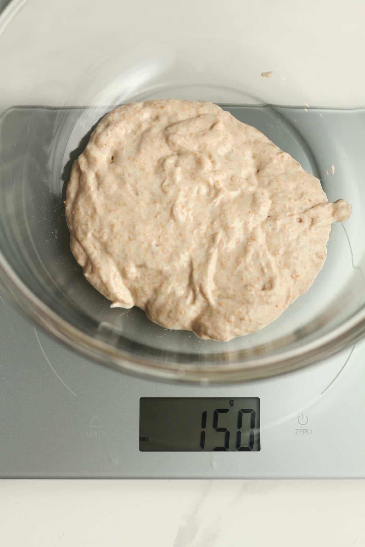 The scale with a bowl of 150 grams of bubbly starter.