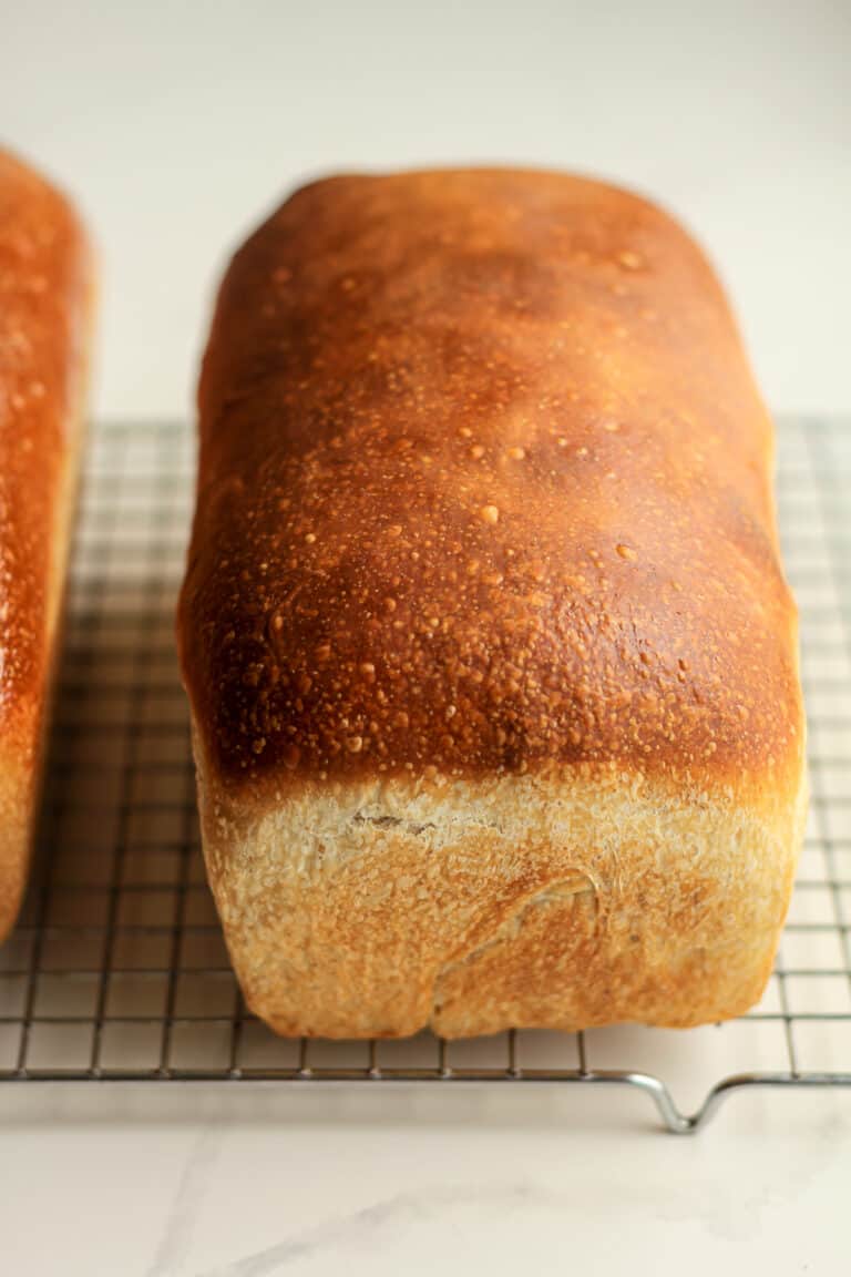 Sourdough Sandwich Bread - SueBee Homemaker