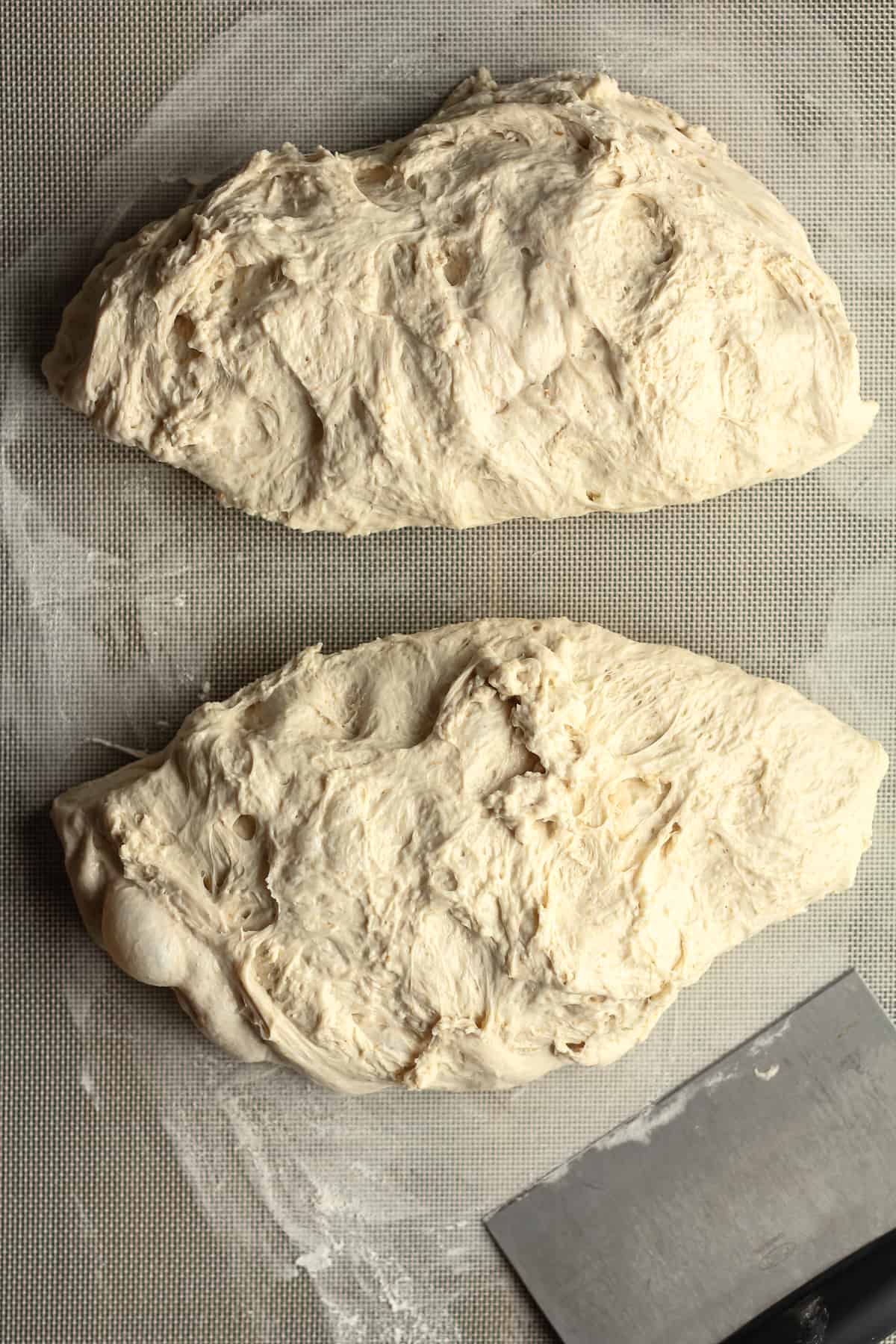Two halves of sourdough before forming into loaves.