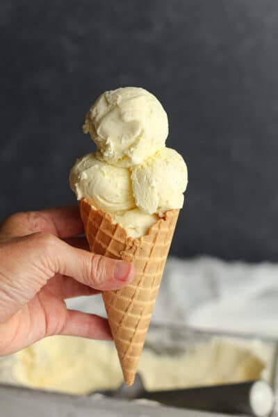 Homemade Vanilla Bean Ice Cream - SueBee Homemaker