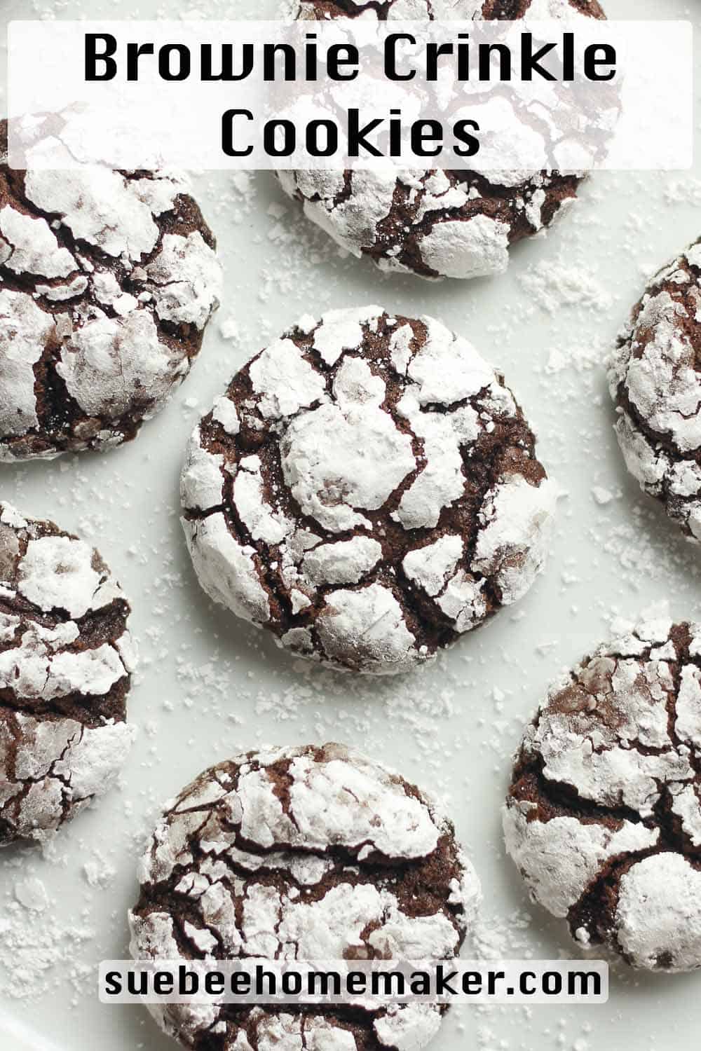 Closeup on brownie crinkle cookies.