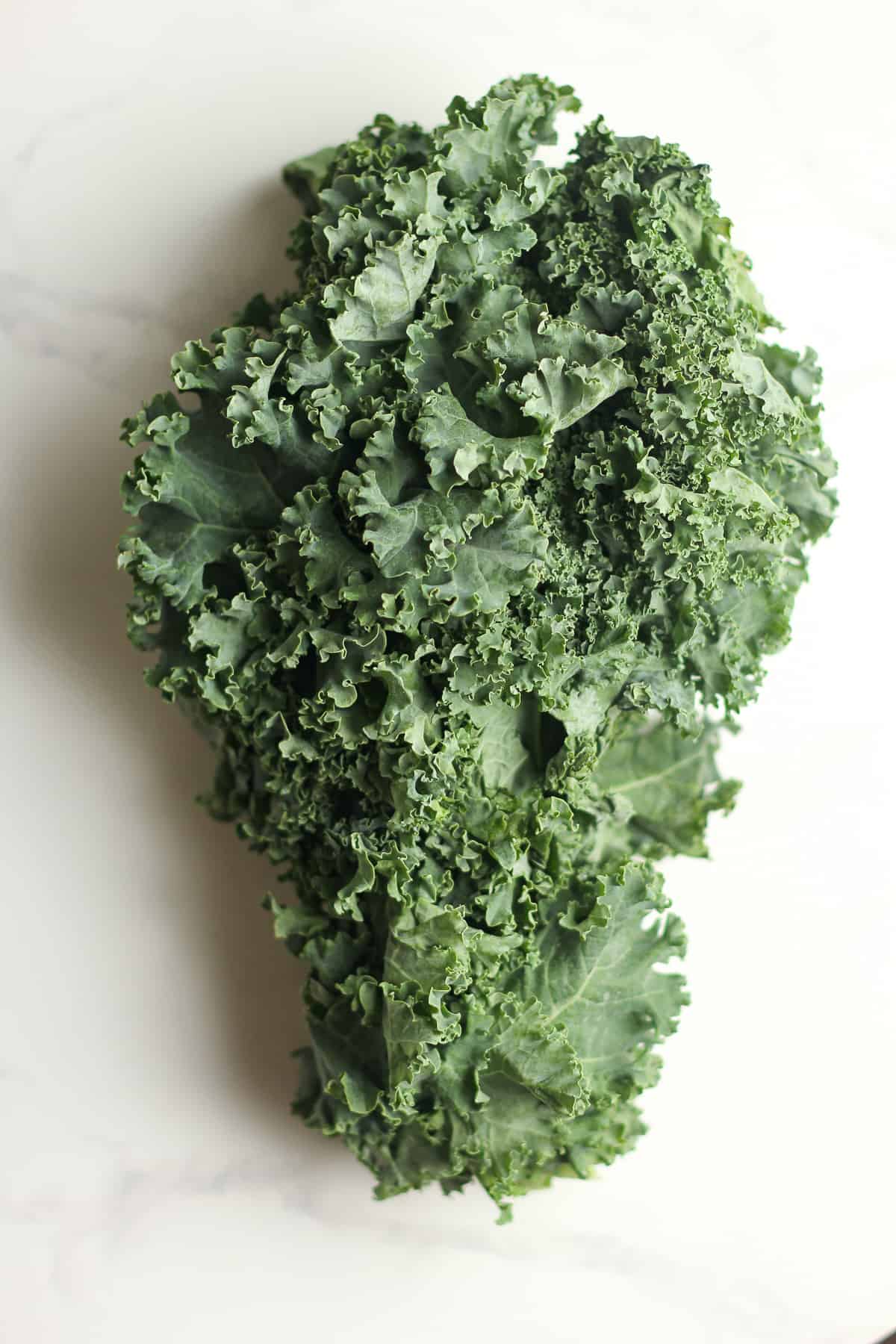 A bundle of kale.