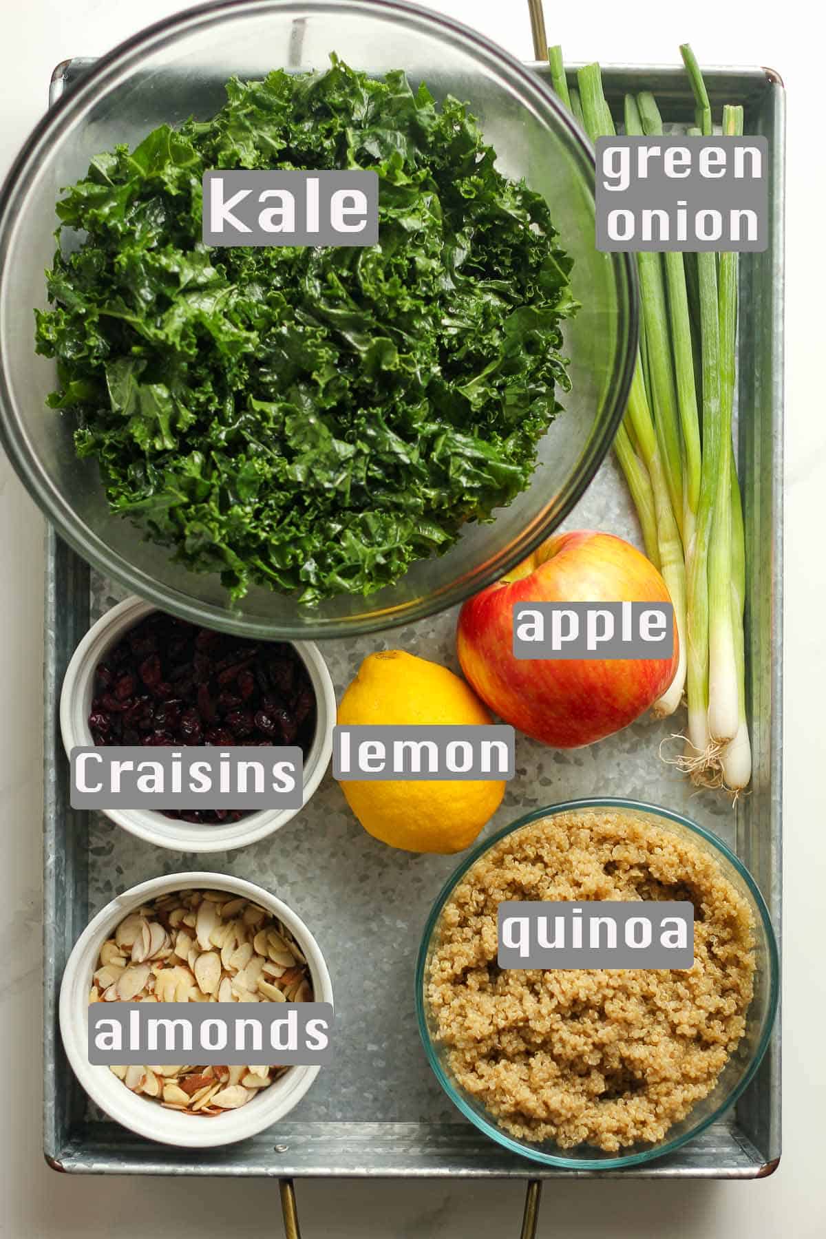 A tray of the salad ingredients, labeled.