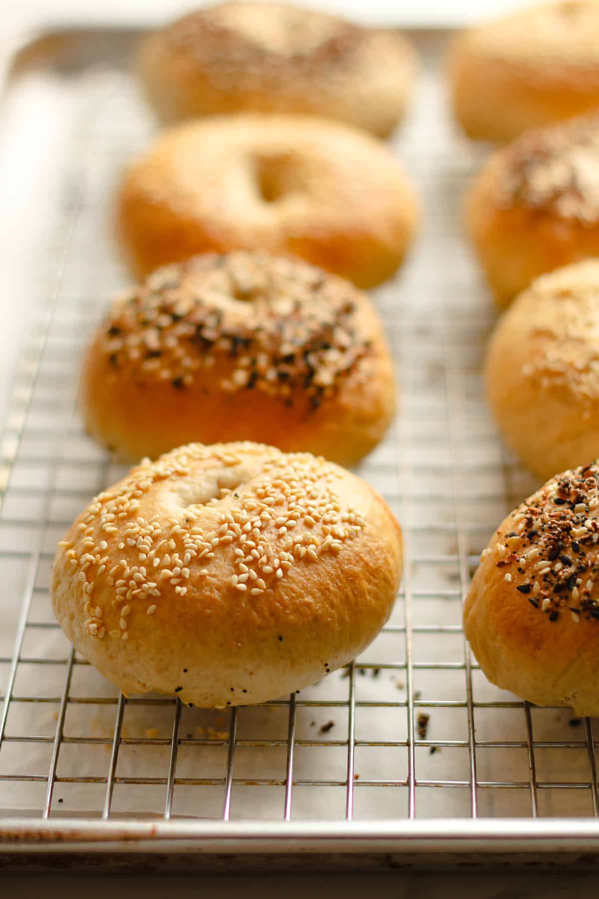 Side view of bagels on a baking sheet.