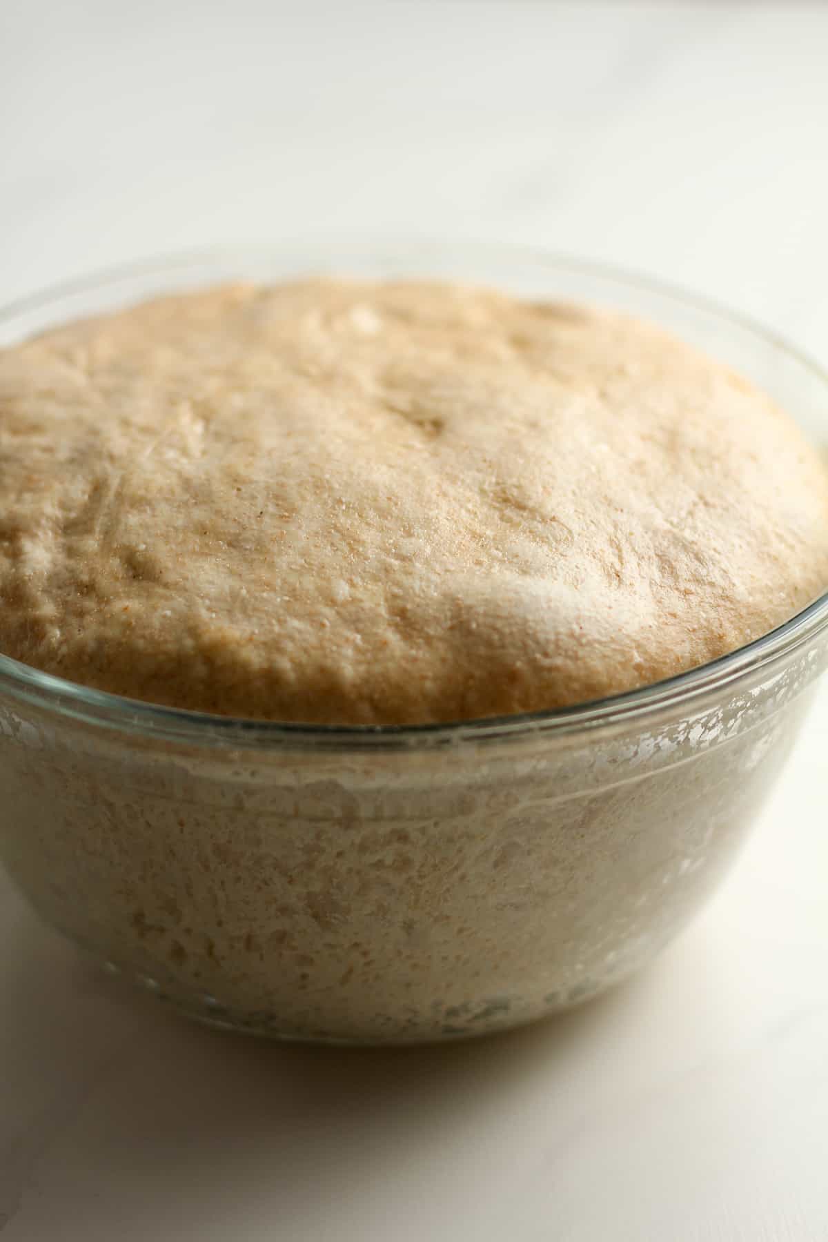 Side shot of a bowl of raised sourdough bread.