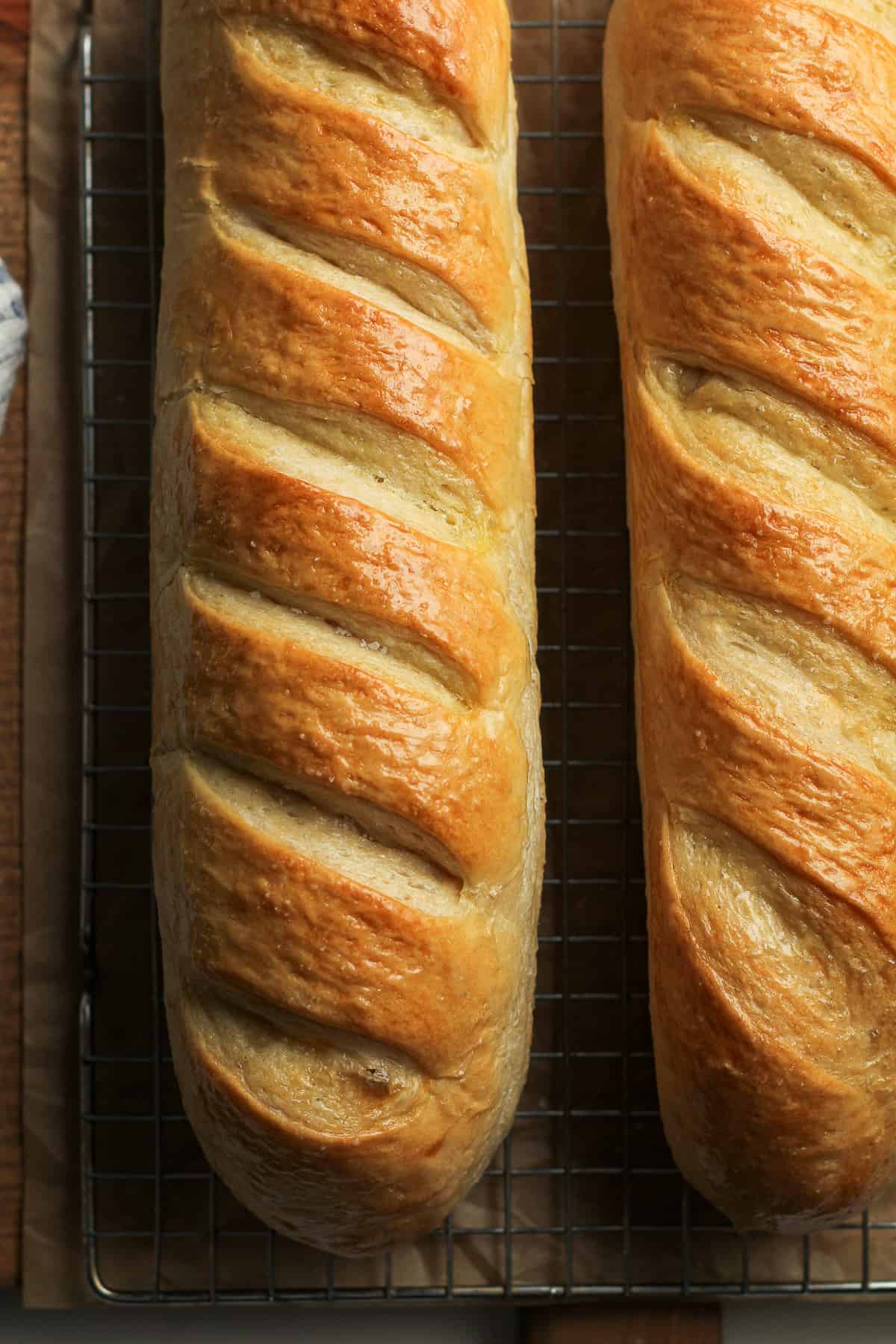 Closeup on two loafs of French bread.