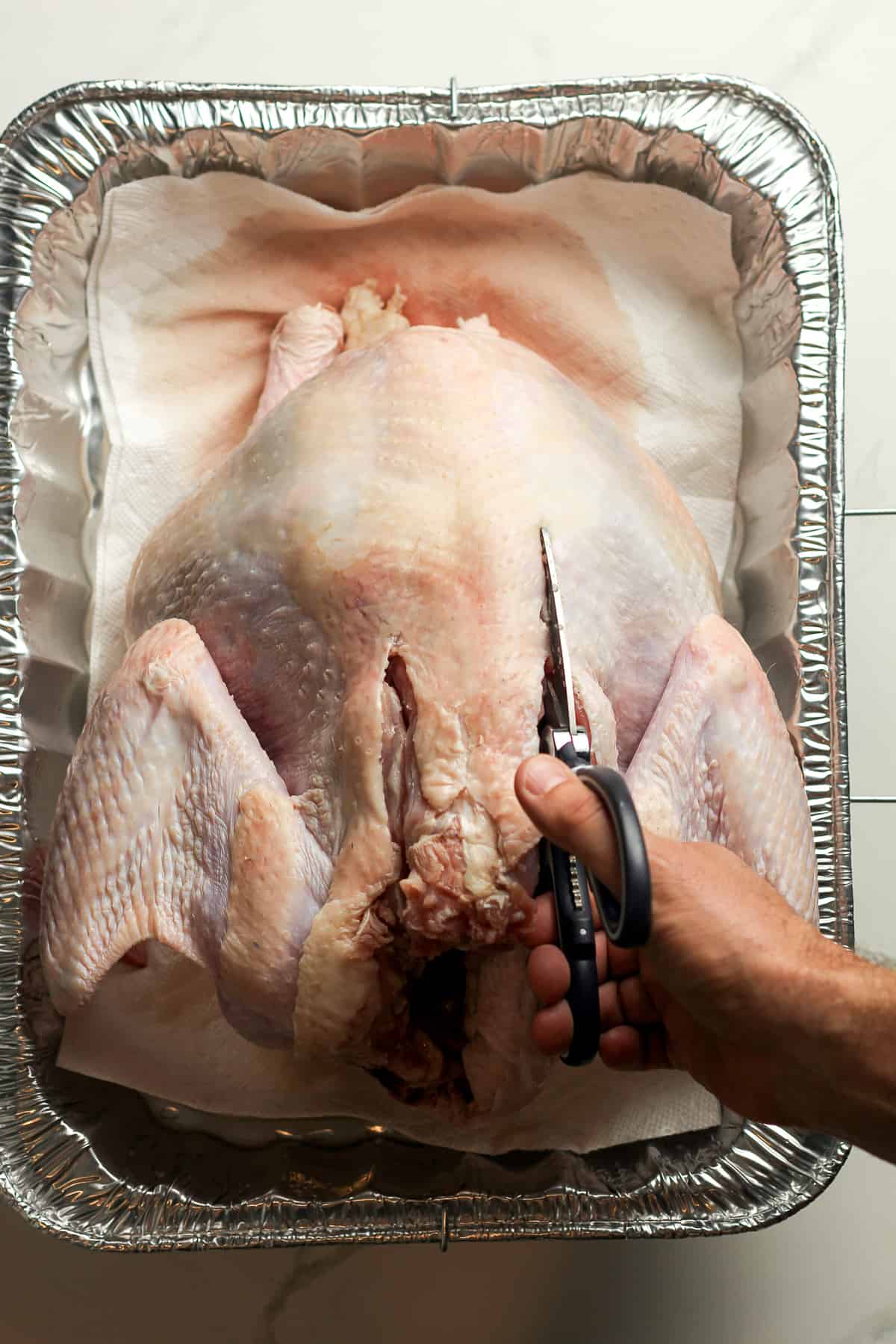 The whole turkey with a scissors cutting out the backbone.