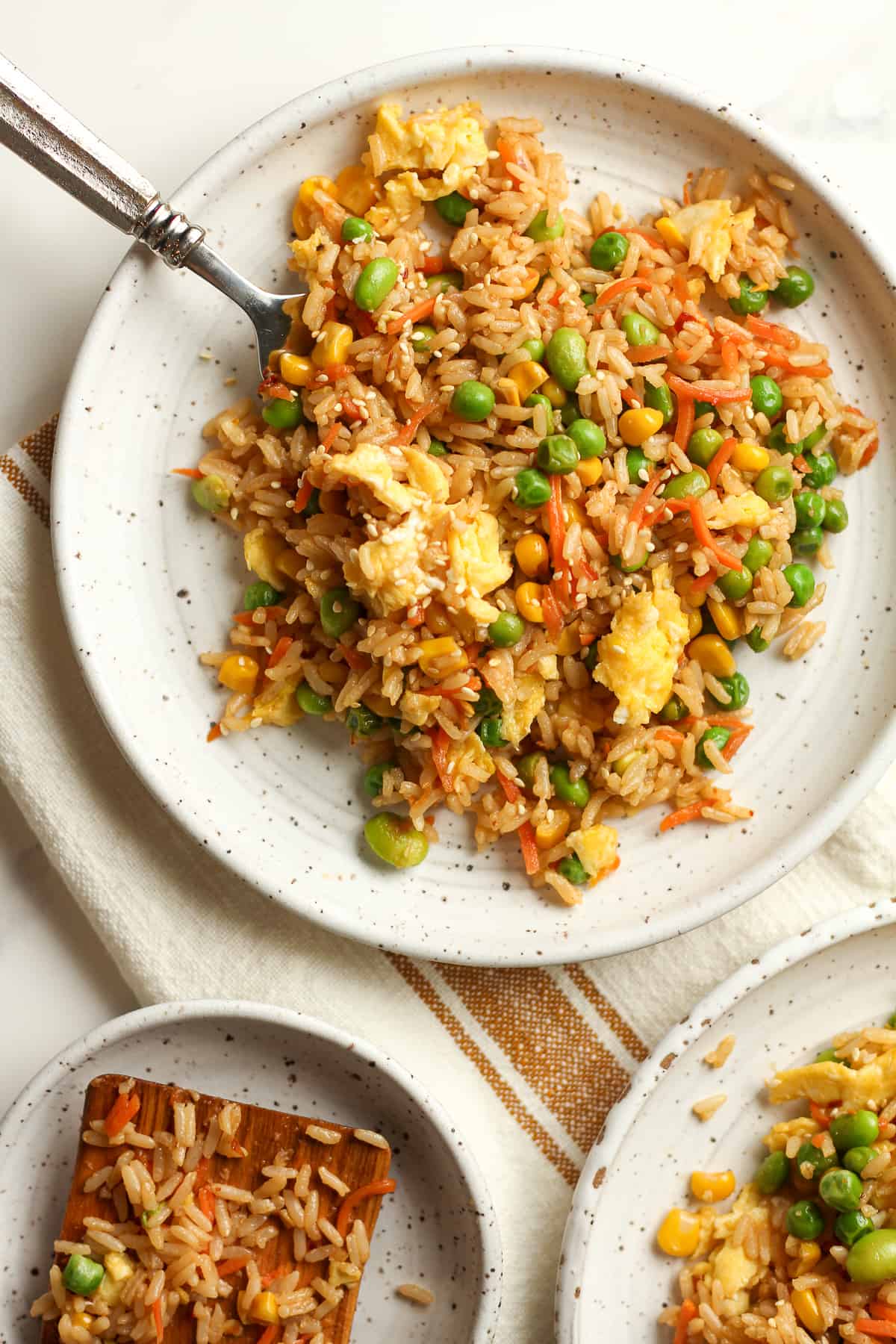 A closeup on a plate of fried rice.
