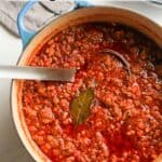 A stockpot of traditional bolognese sauce.